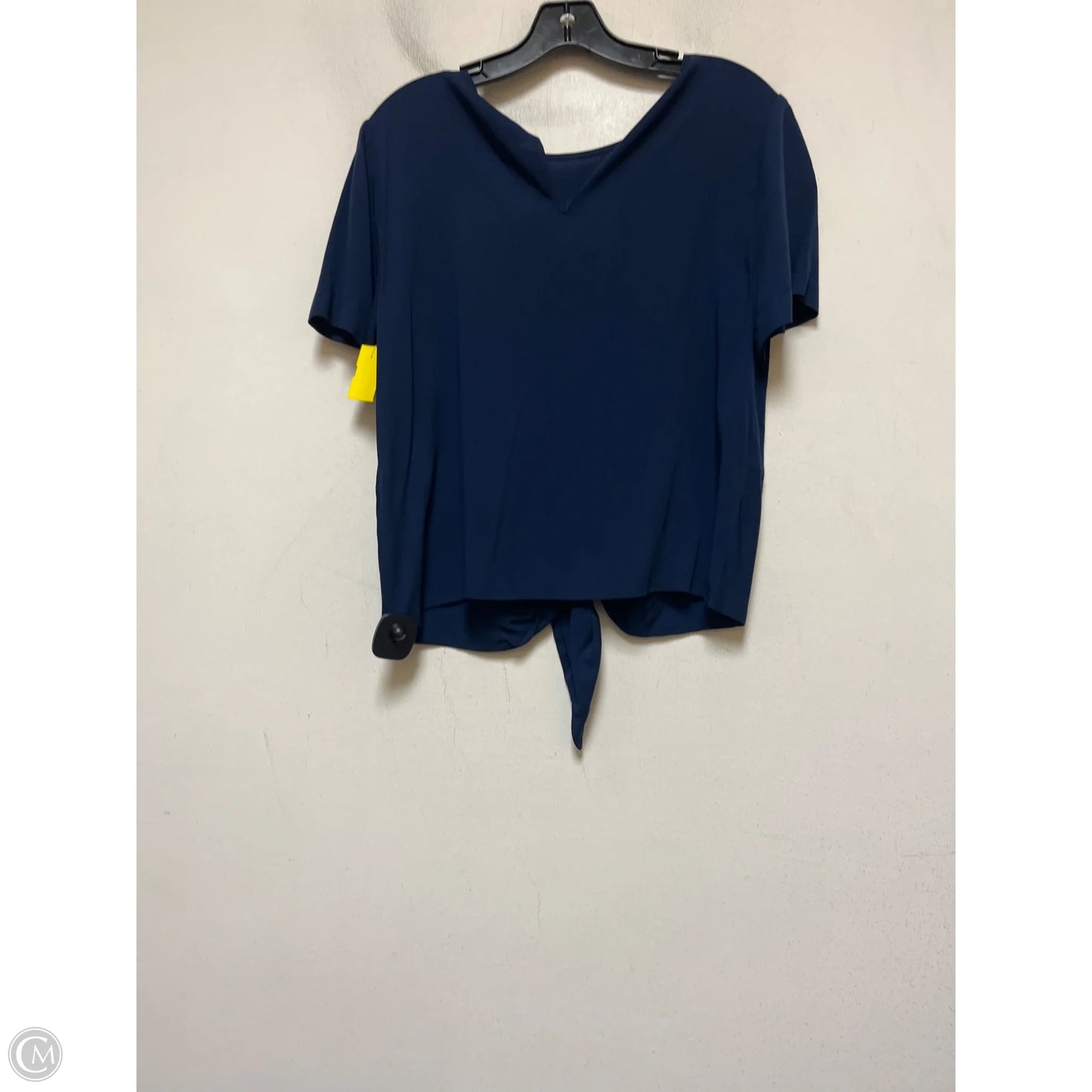 Top Short Sleeve By Torrid In Blue, Size: L