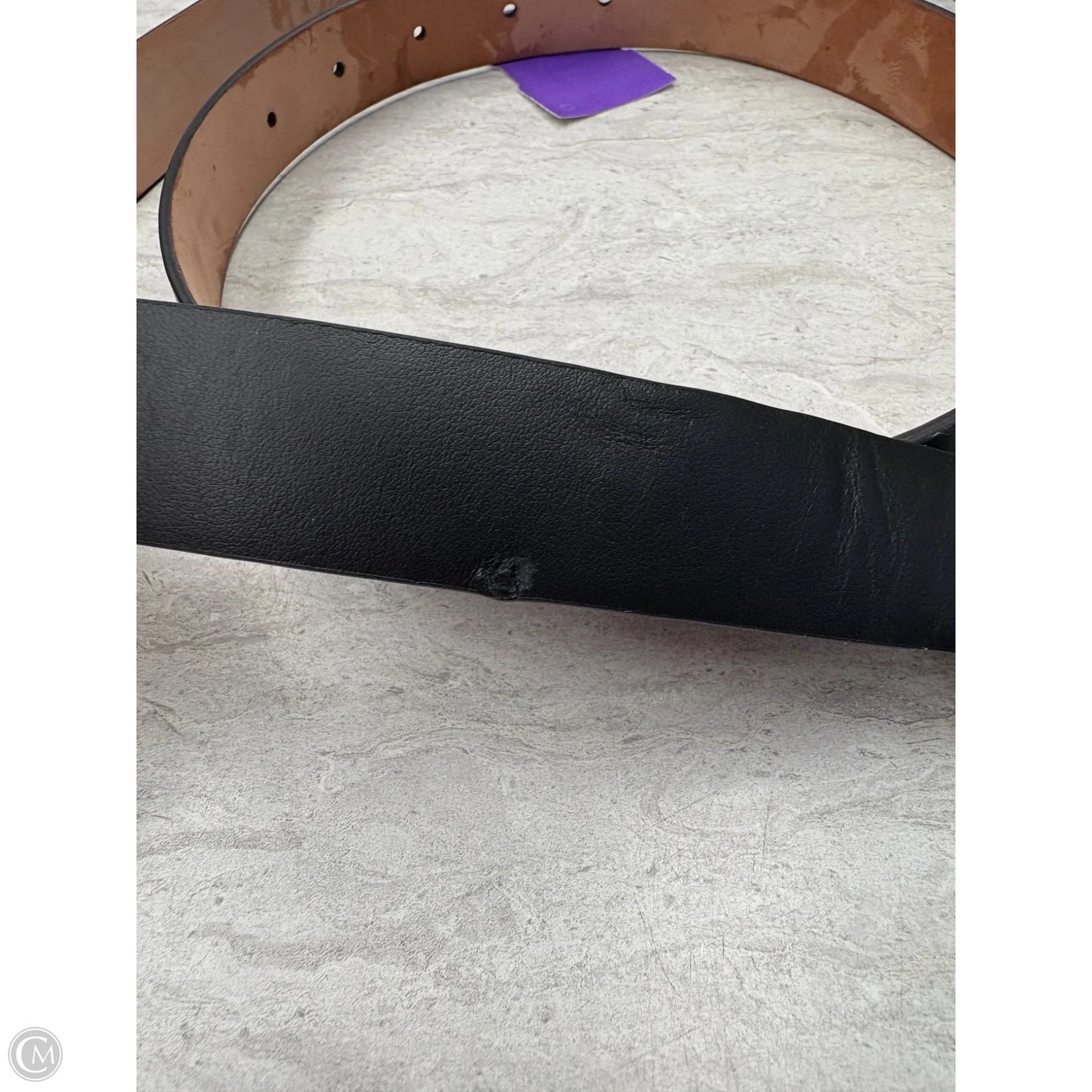 Belt Designer By Ferragamo