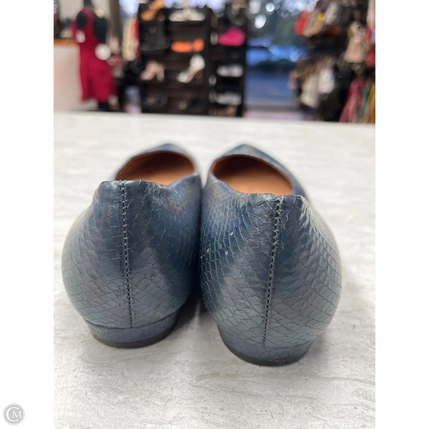 Shoes Flats By Vionic In Blue, Size: 7.5