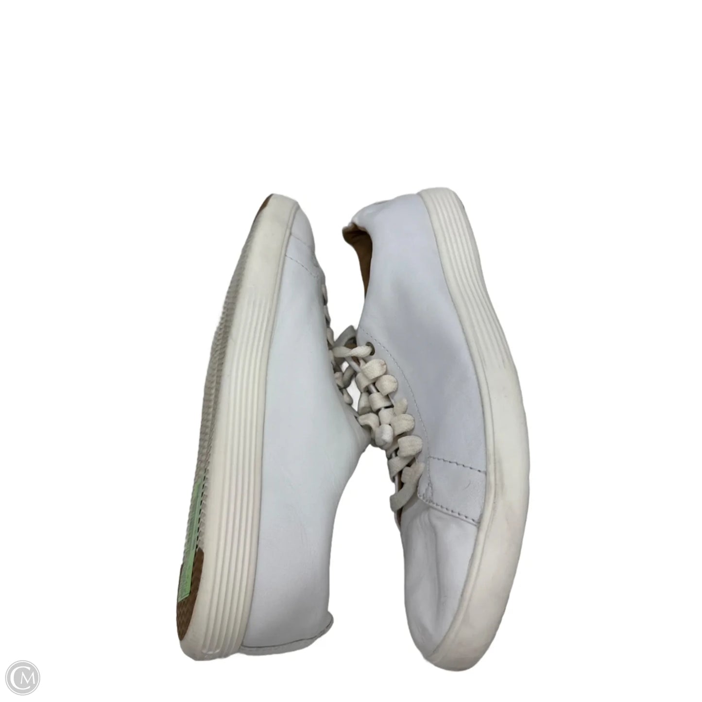 Shoes Sneakers By Cole-haan In White, Size: 8.5