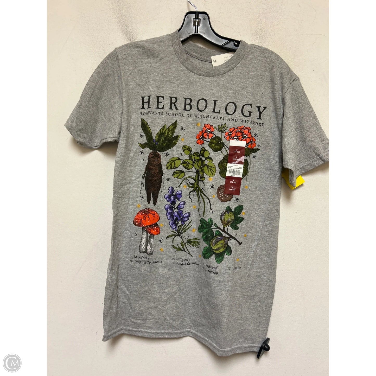 Top Short Sleeve Basic By Clothes Mentor In Grey, Size: S