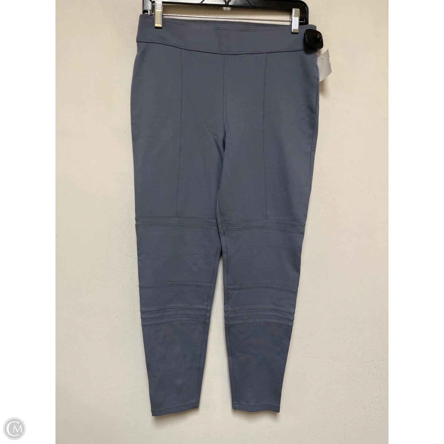 Pants Leggings By Abercrombie And Fitch In Blue, Size: 8