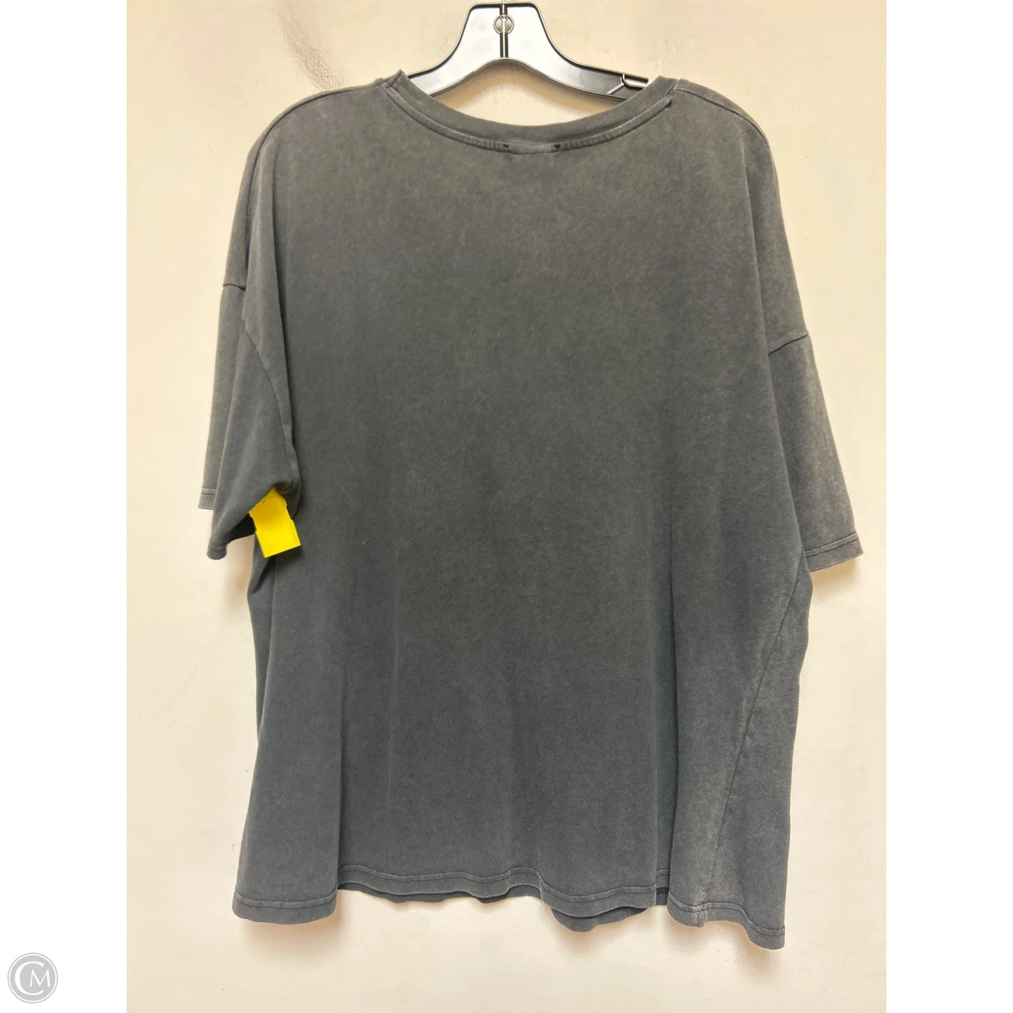 Top Short Sleeve By Zara In Grey, Size: Xl