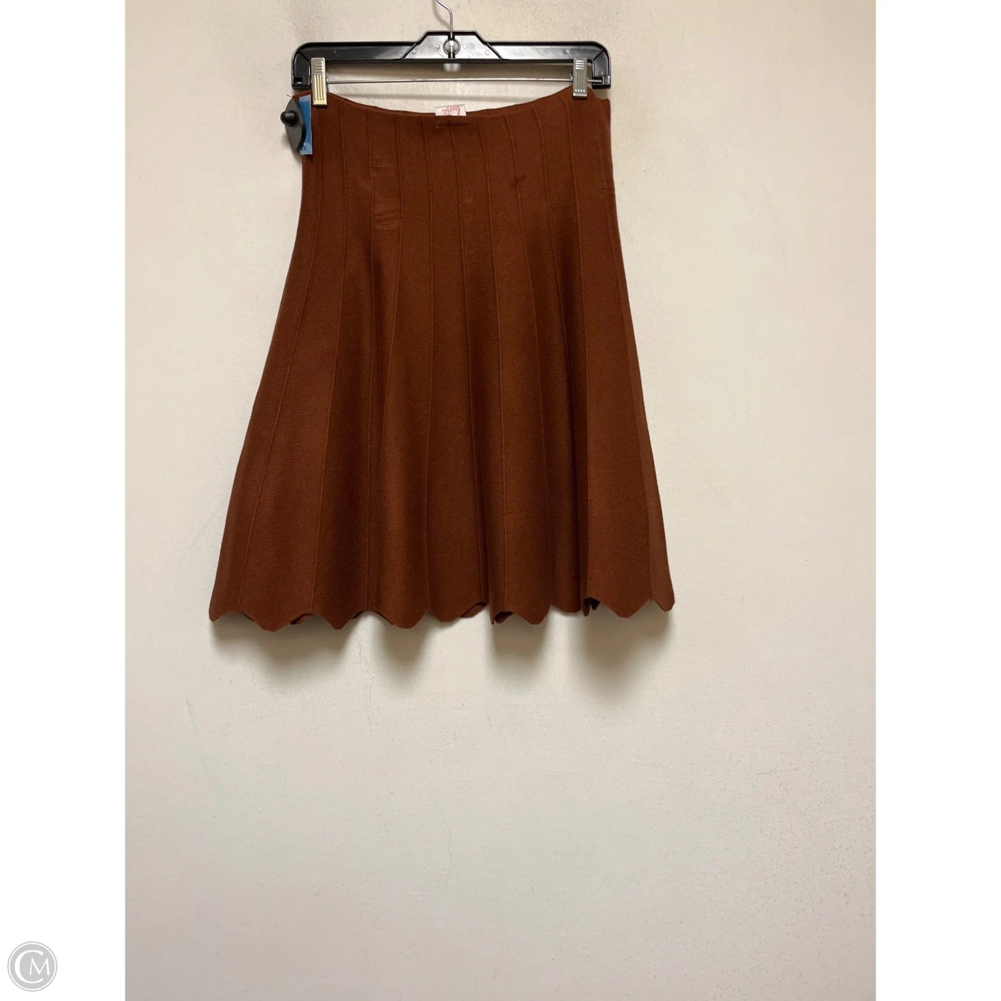 Skirt Mini & Short By Clothes Mentor In Brown, Size: 12