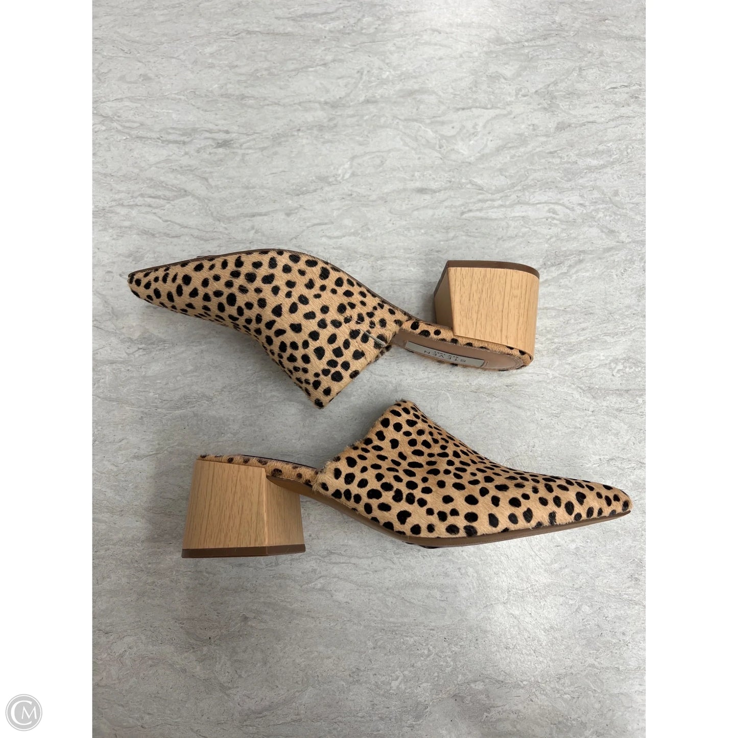 Shoes Heels Block By Steve Madden In Animal Print, Size: 7