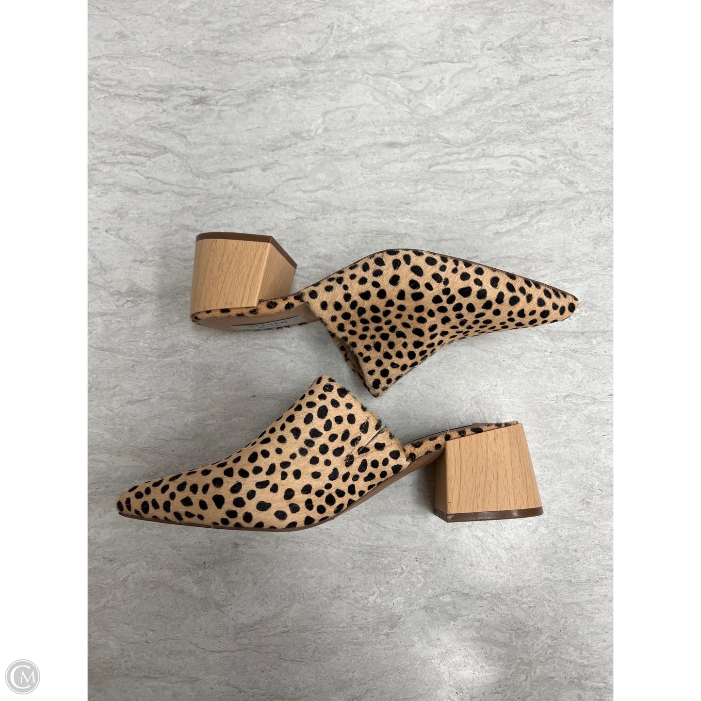 Shoes Heels Block By Steve Madden In Animal Print, Size: 7