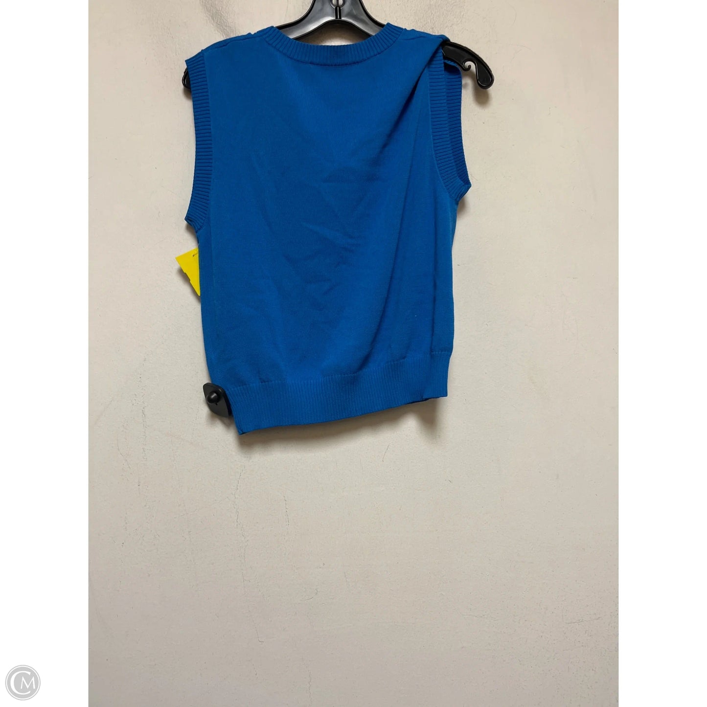Top Sleeveless By Zara In Blue, Size: Xl
