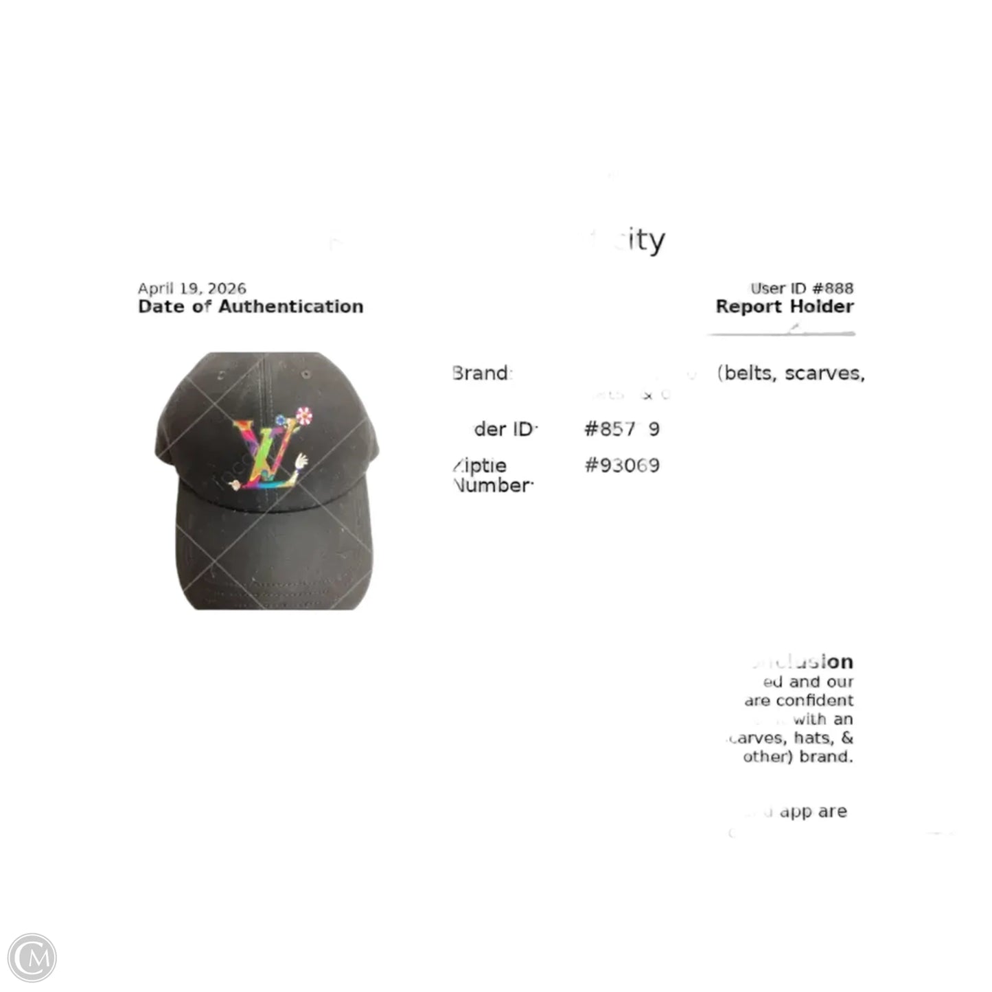 Hat Luxury Designer By Louis Vuitton