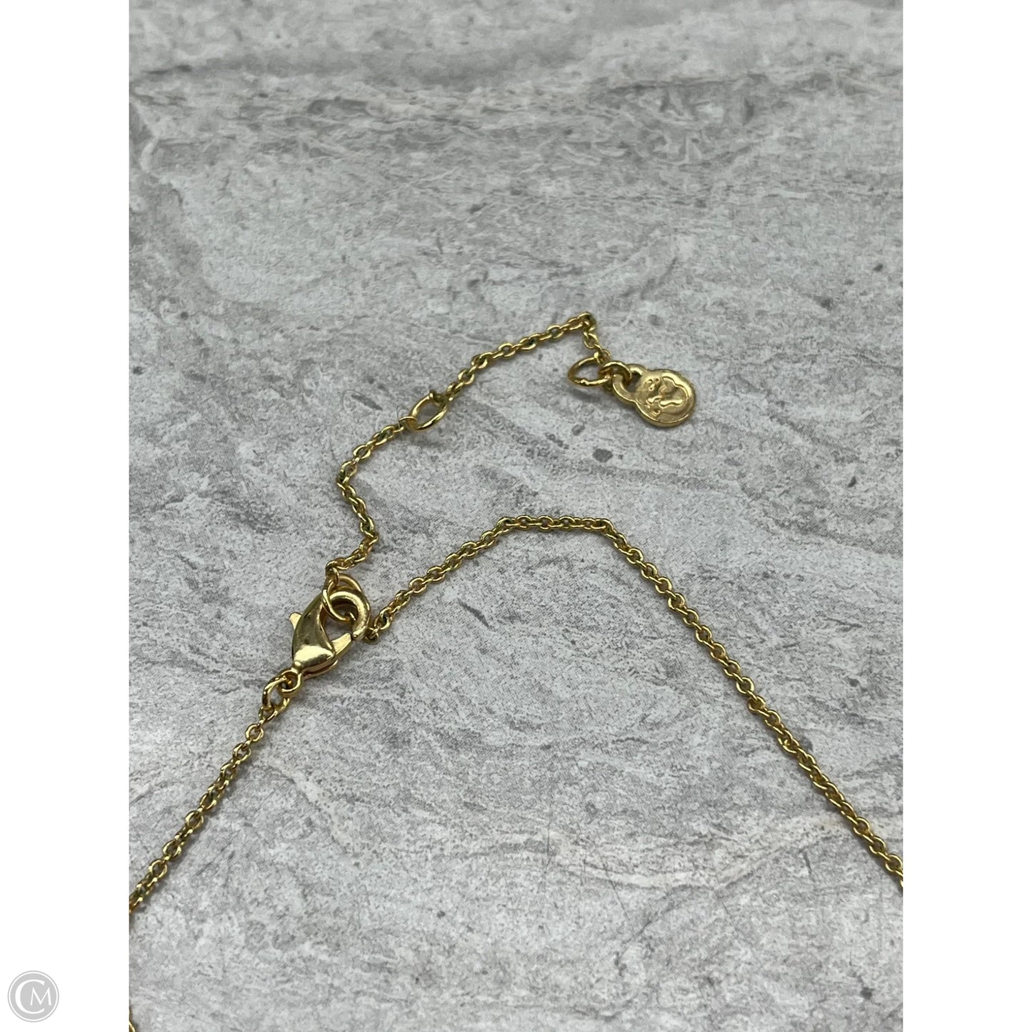 Necklace Chain By Spartina