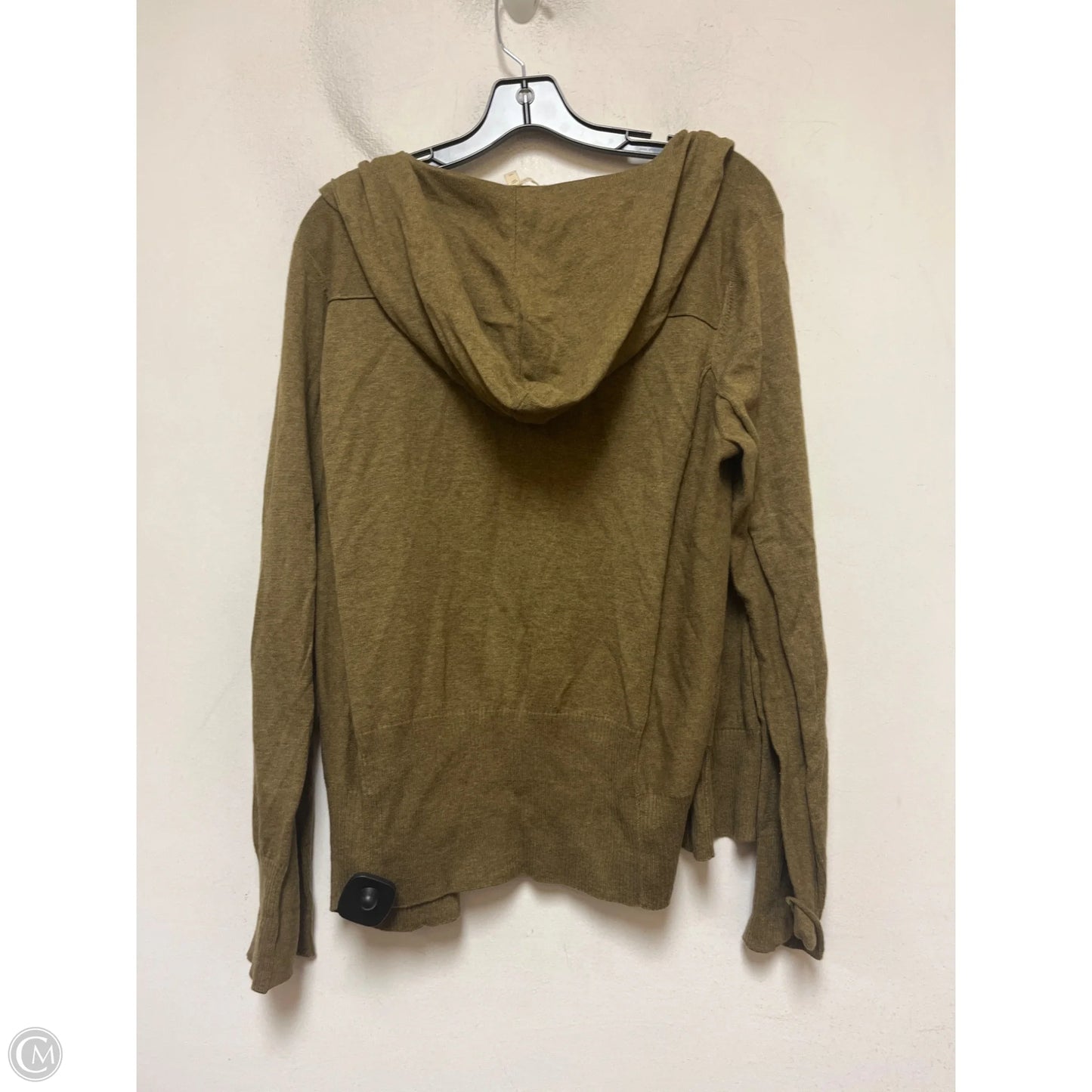 Sweatshirt Hoodie By Eileen Fisher In Green, Size: Xl