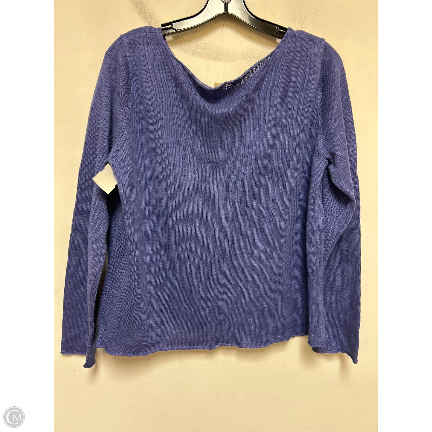 Top Long Sleeve By Eileen Fisher In Blue, Size: L