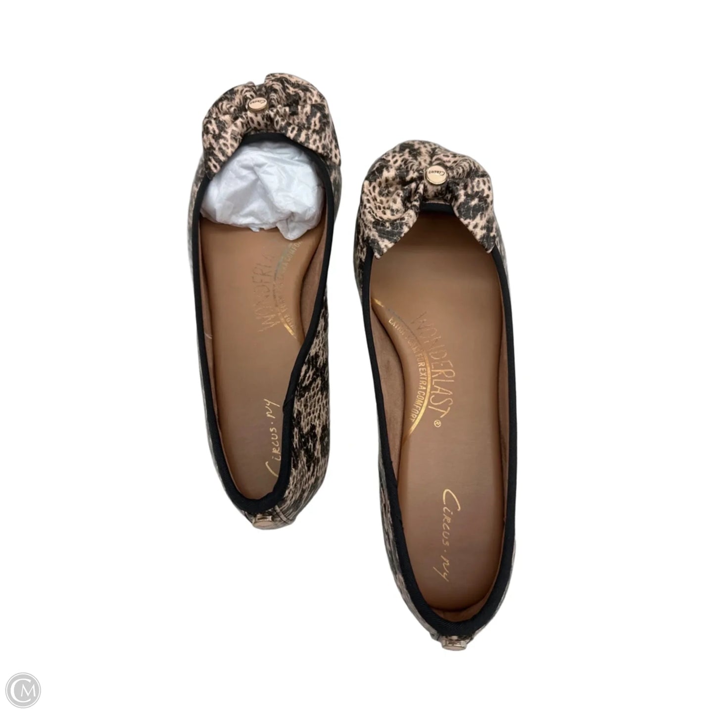 Shoes Flats By Circus By Sam Edelman In Snakeskin Print, Size: 10