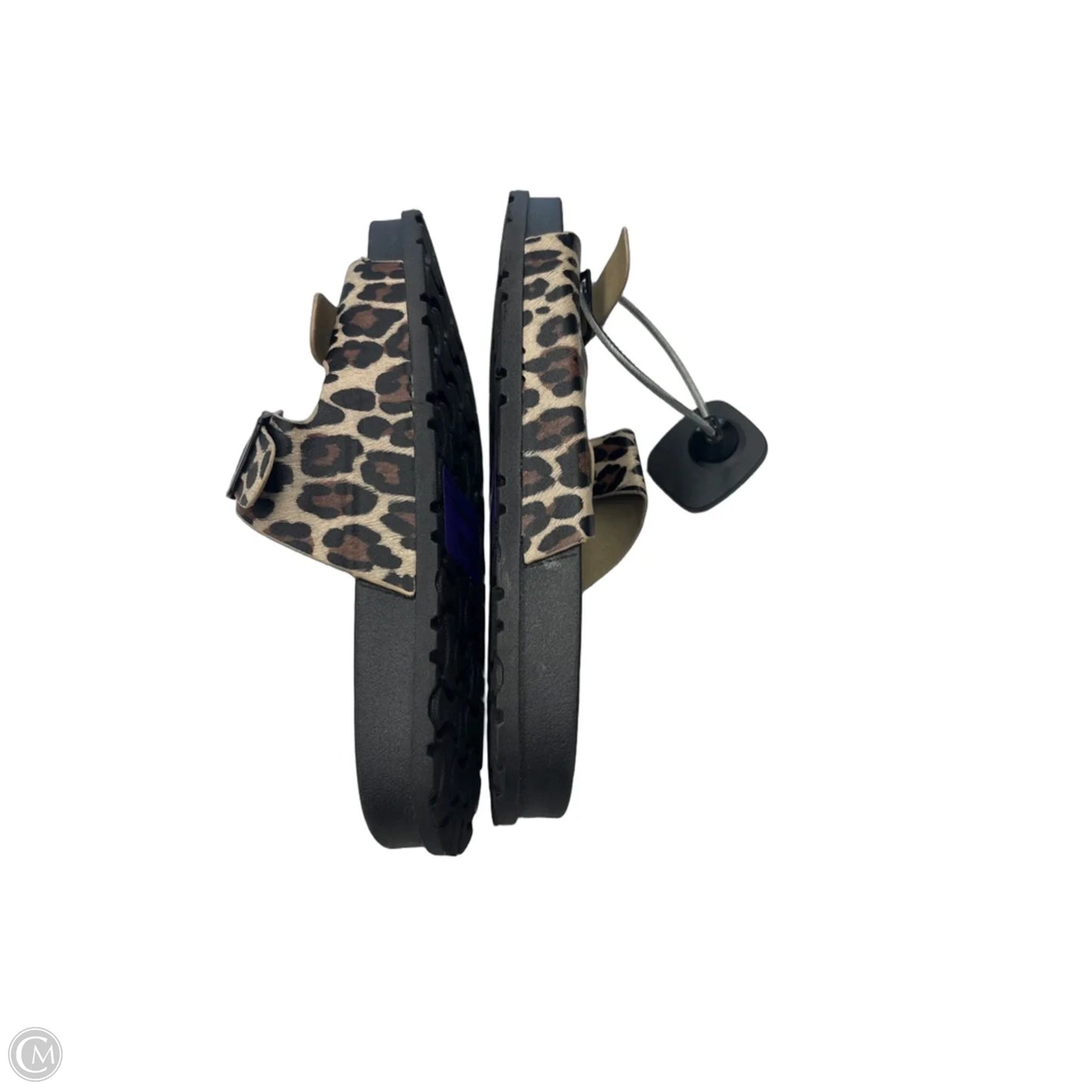 Sandals Flats By Capelli In Animal Print, Size: 8