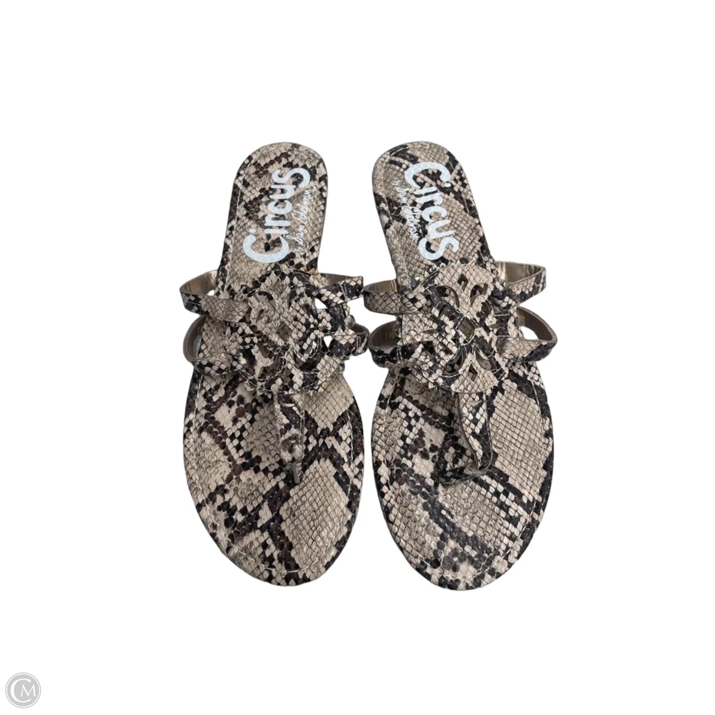 Sandals Flats By Circus By Sam Edelman In Snakeskin Print, Size: 9.5