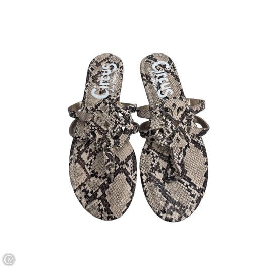 Sandals Flats By Circus By Sam Edelman In Snakeskin Print, Size: 9.5