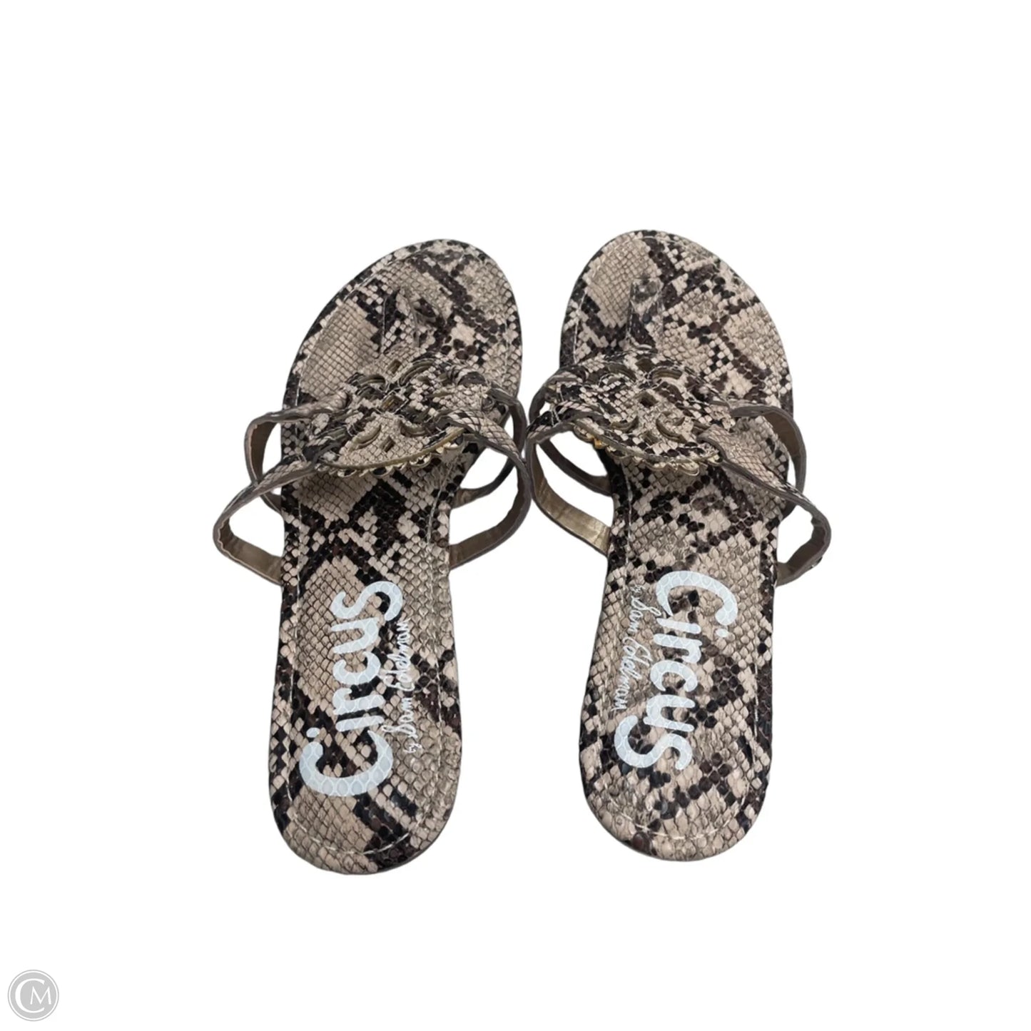 Sandals Flats By Circus By Sam Edelman In Snakeskin Print, Size: 9.5