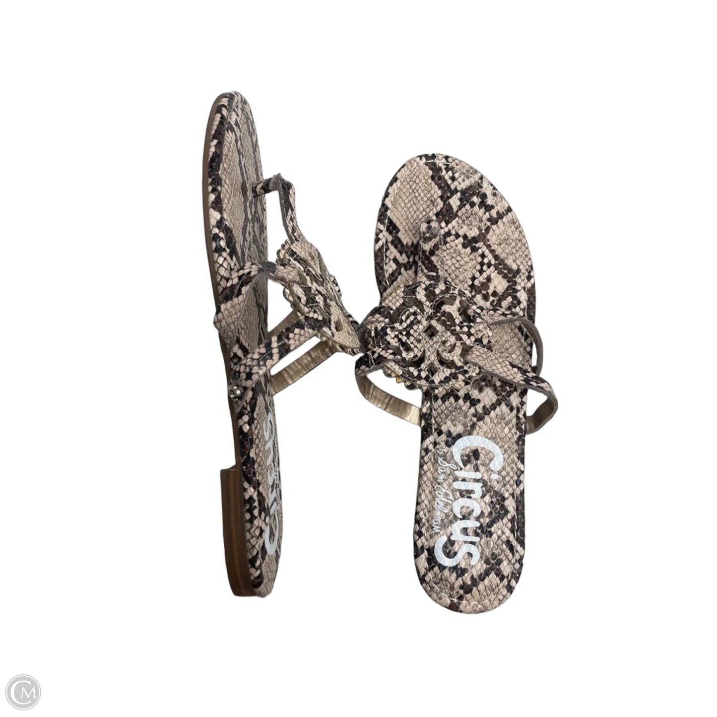 Sandals Flats By Circus By Sam Edelman In Snakeskin Print, Size: 9.5