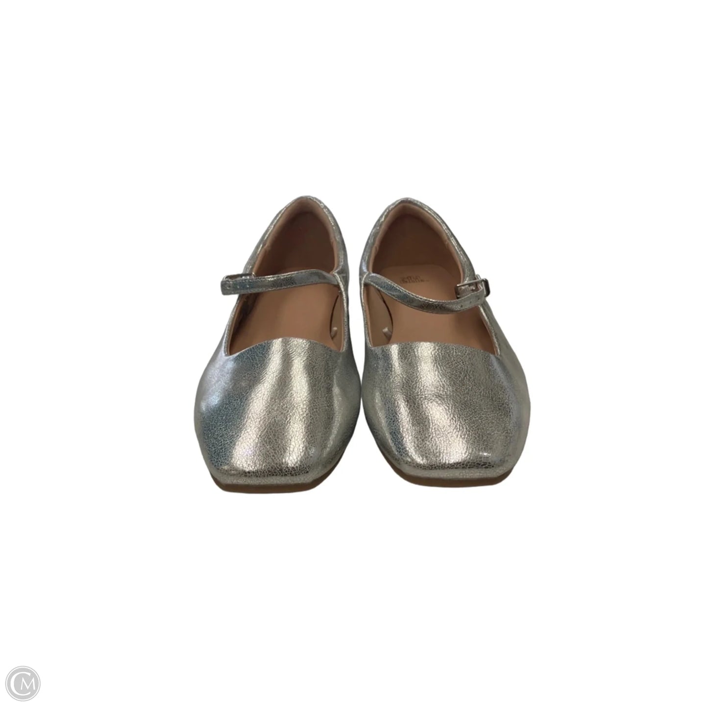 Shoes Flats By Wild Fable In Silver, Size: 9.5