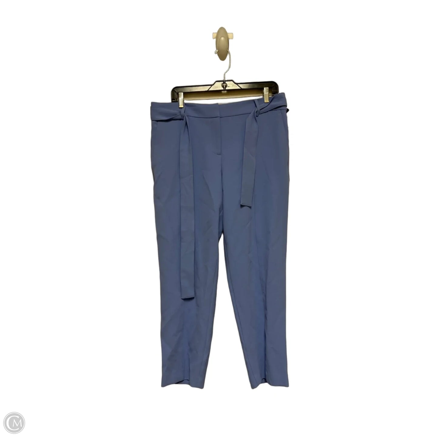 Pants Other By Ann Taylor In Blue, Size: 10