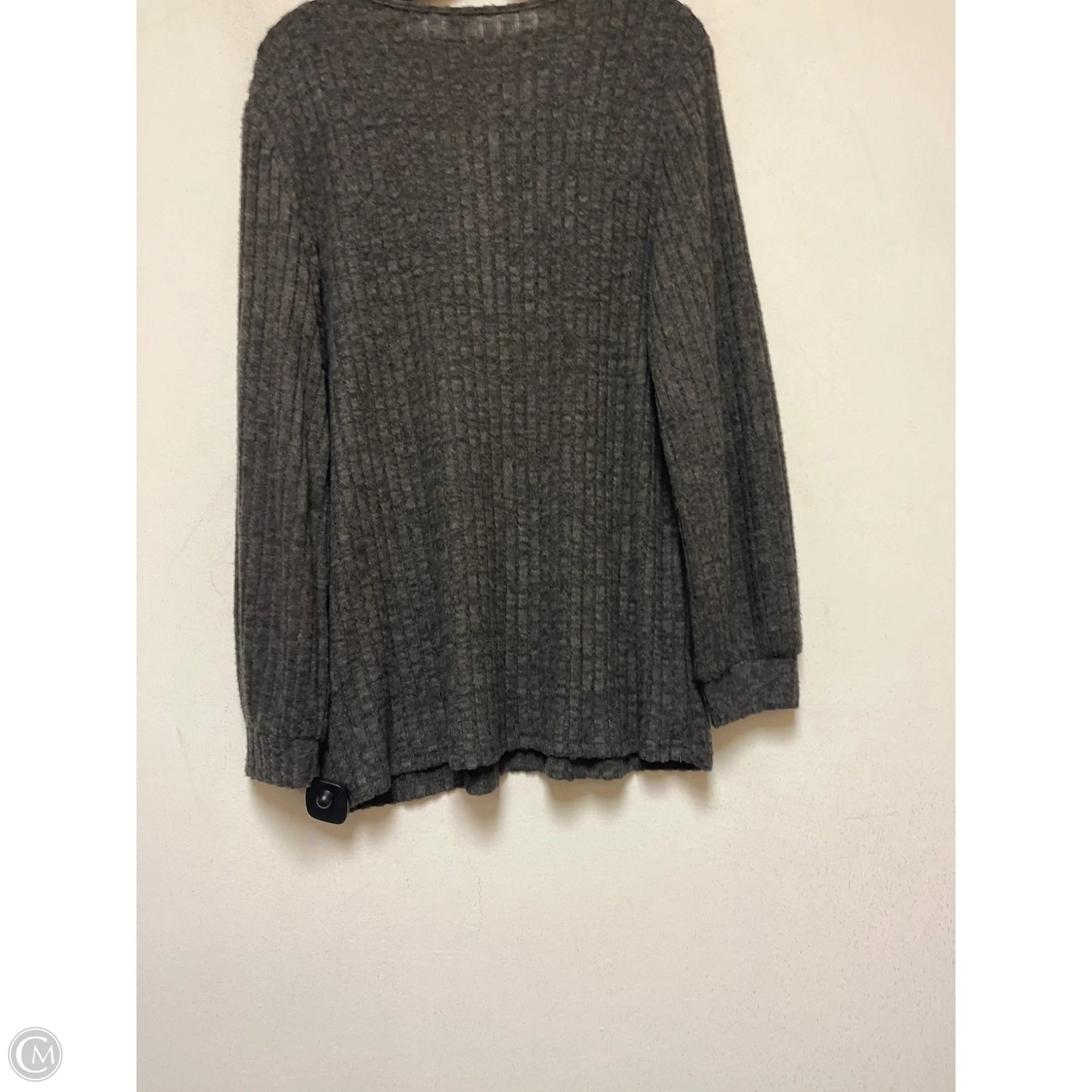 Top Long Sleeve By Clothes Mentor In Grey, Size: L