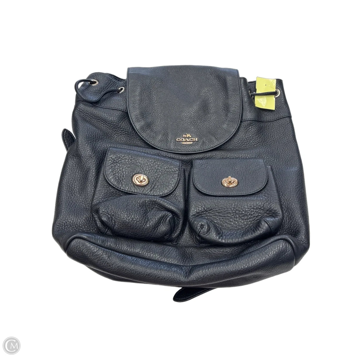 Backpack Designer By Coach, Size: Large
