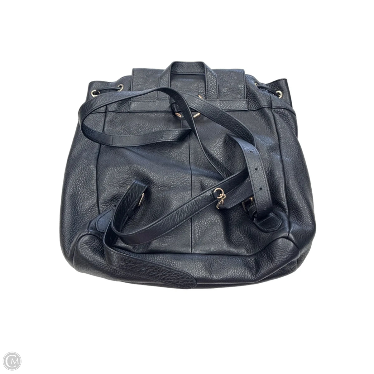 Backpack Designer By Coach, Size: Large