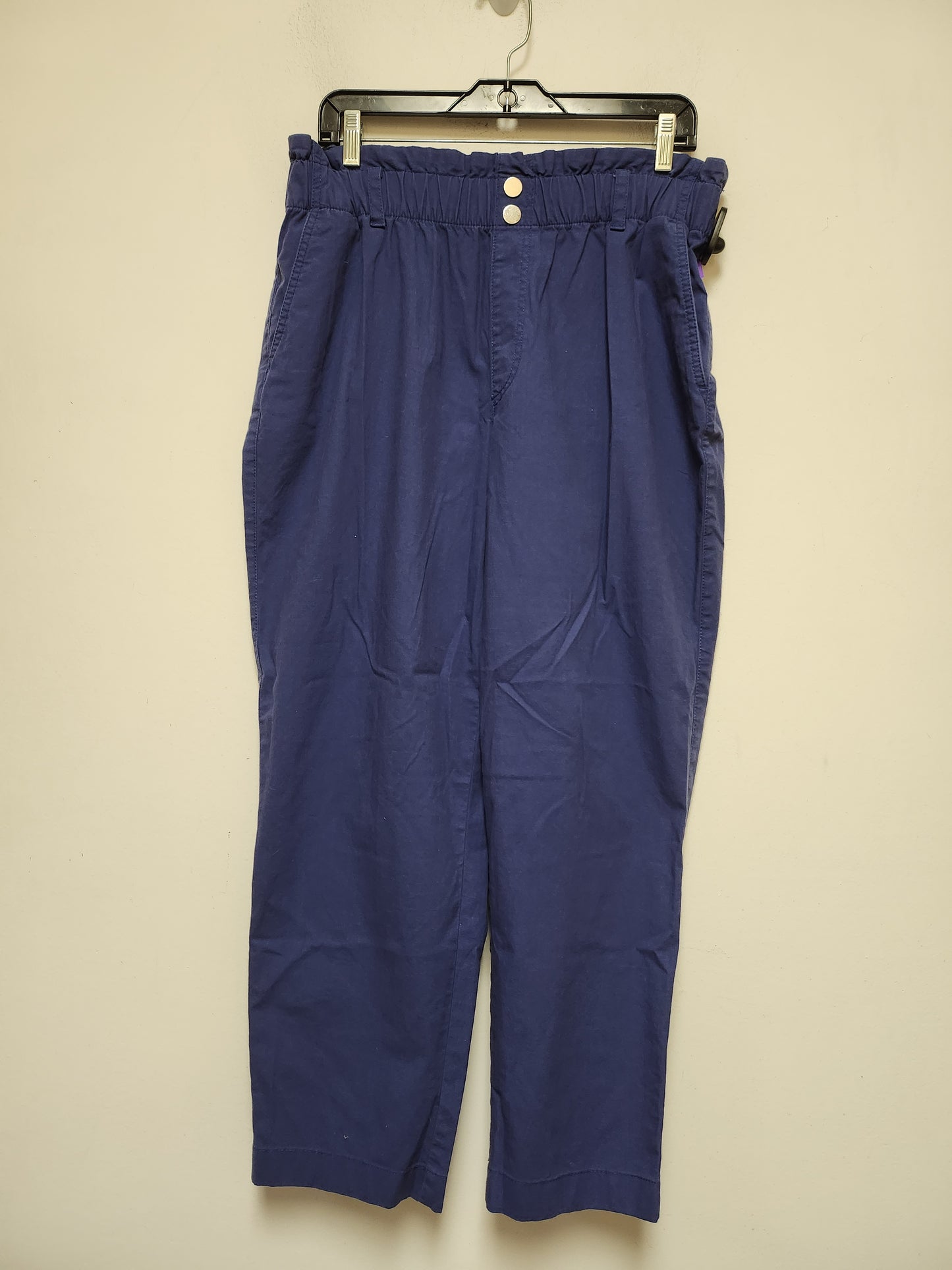 Blue Pants Other Loft, Size L