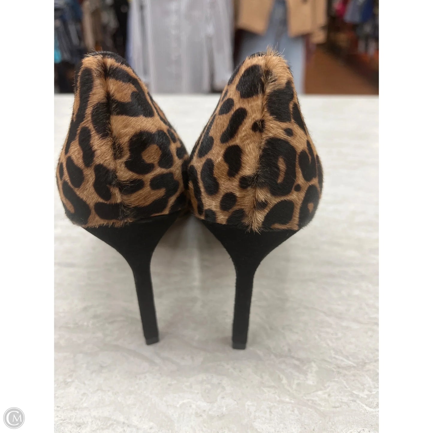 Shoes Heels Kitten By Banana Republic In Leopard Print, Size: 6