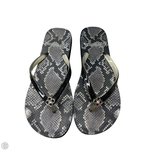 Sandals Flip Flops By Brighton In Snakeskin Print, Size: 7