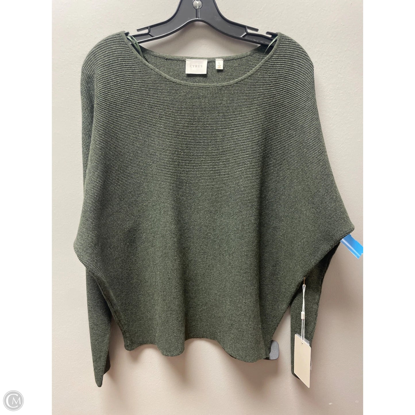 Sweater By Cyrus In Green, Size: L