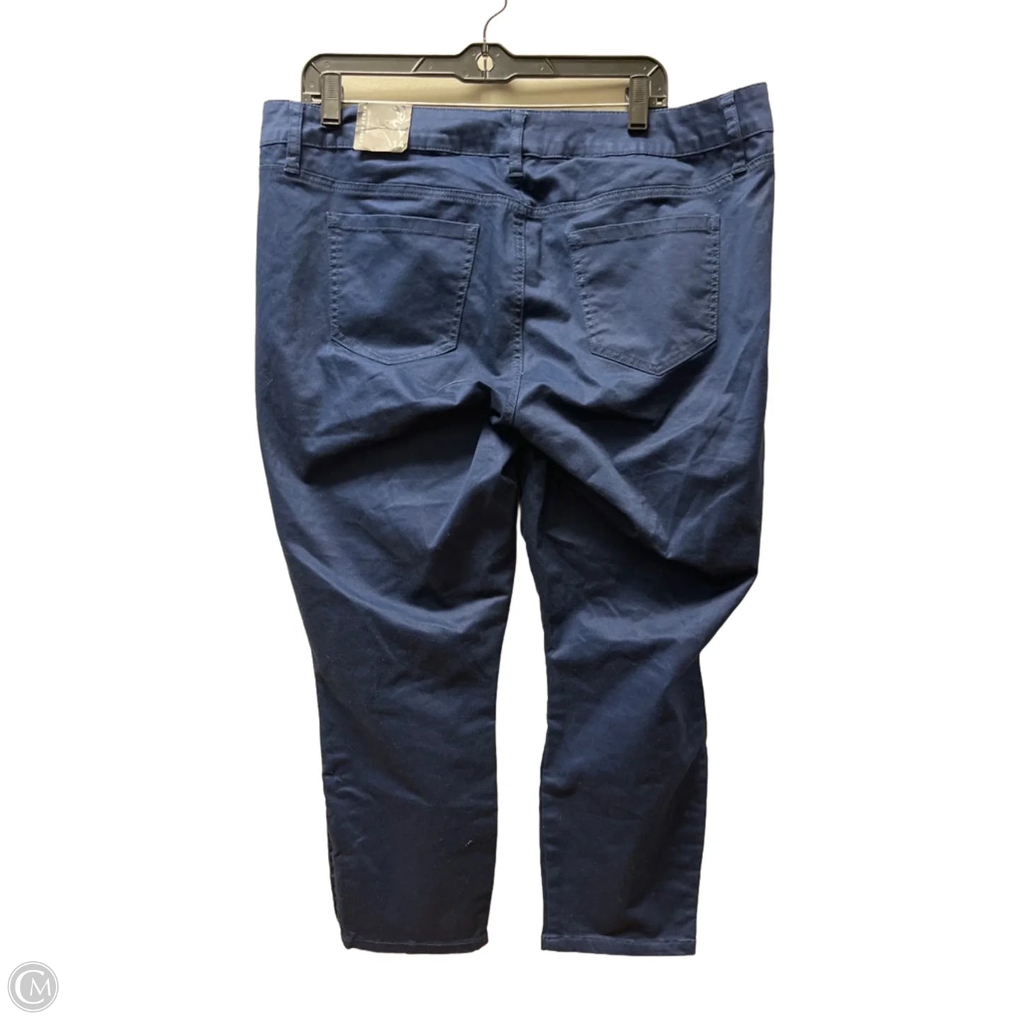 Pants Other By Torrid In Navy, Size: 14