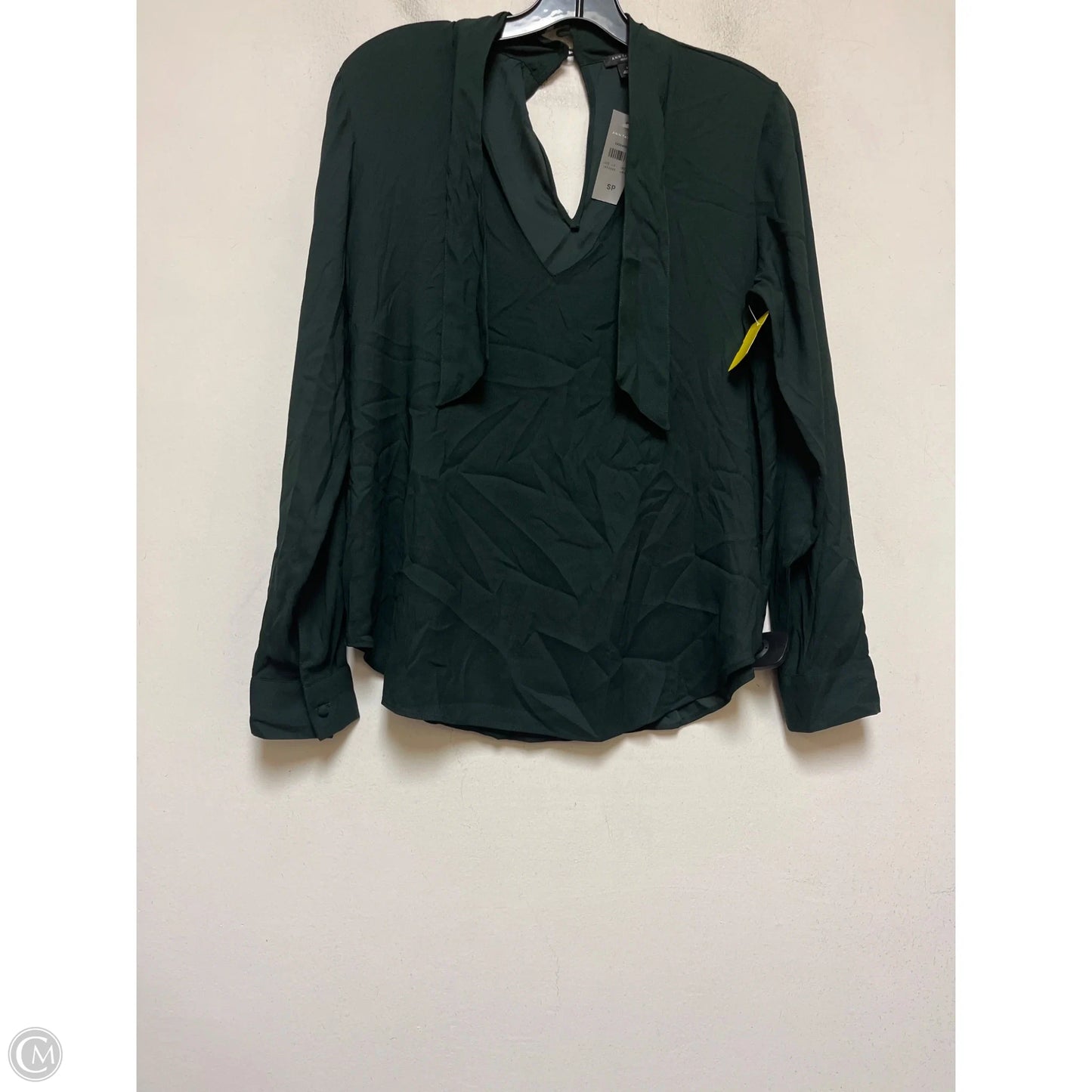 Top Long Sleeve By Ann Taylor In Green, Size: Sp