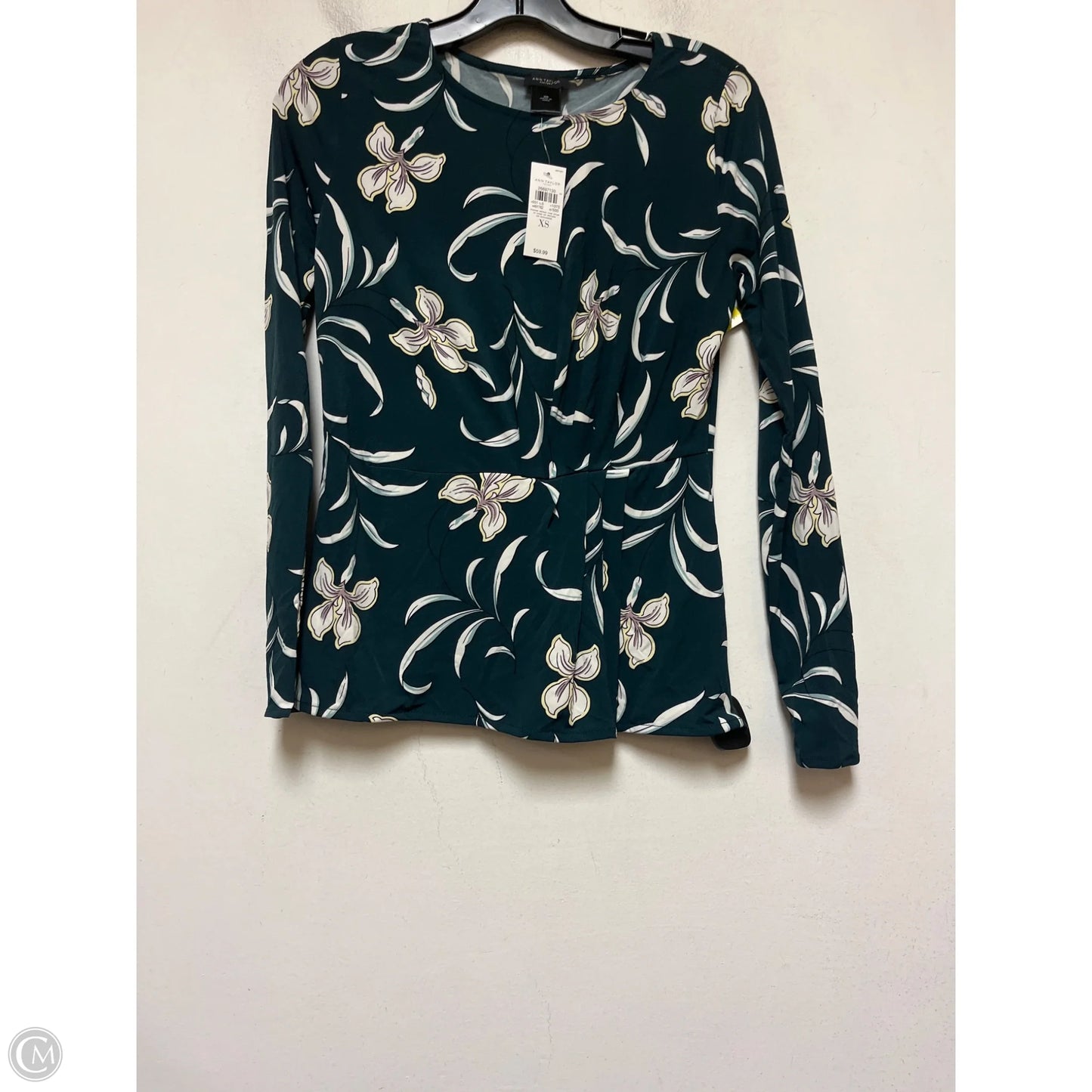 Top Long Sleeve By Ann Taylor In Green, Size: Xs