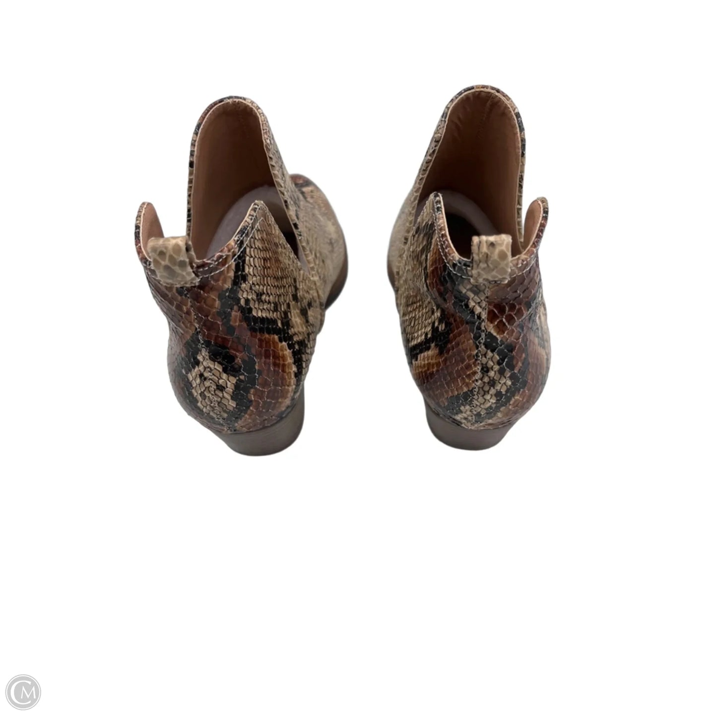 Boots Ankle Heels By Cl By Chinese Laundry In Snakeskin Print, Size: 7