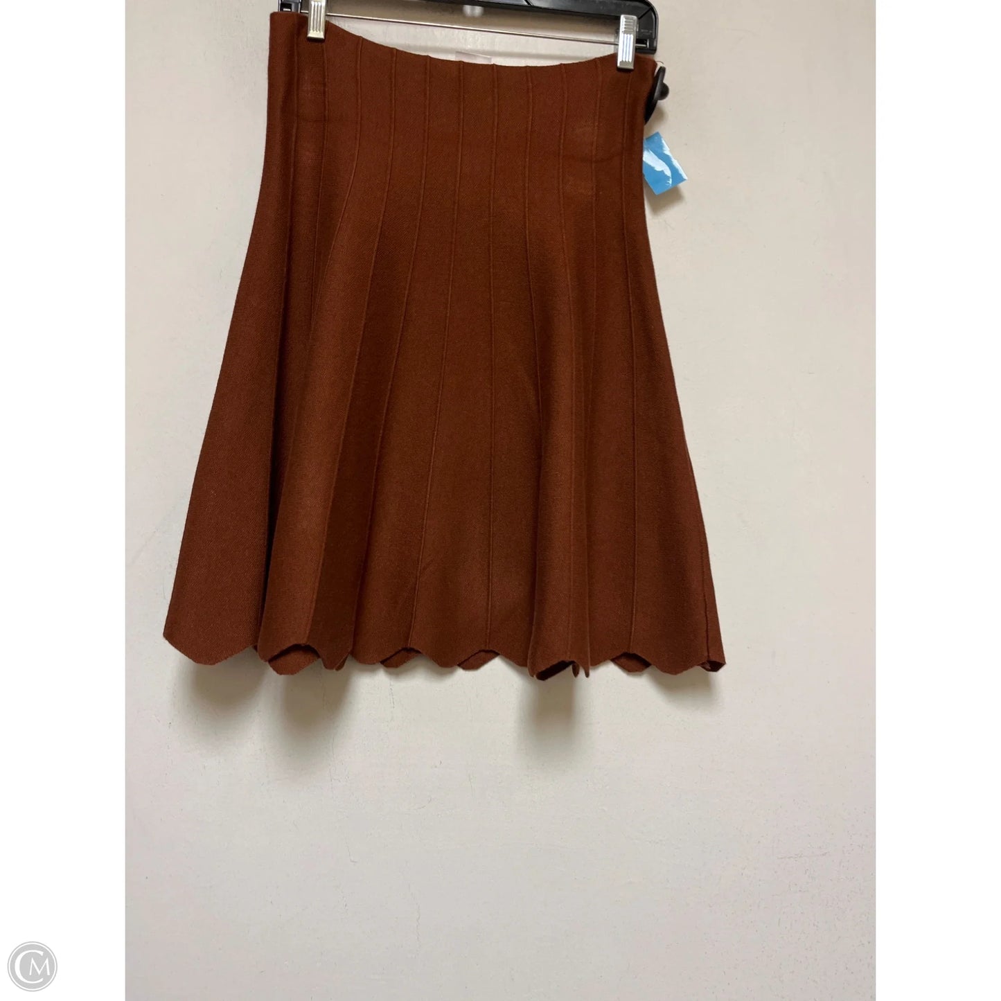 Skirt Mini & Short By Clothes Mentor In Brown, Size: 12