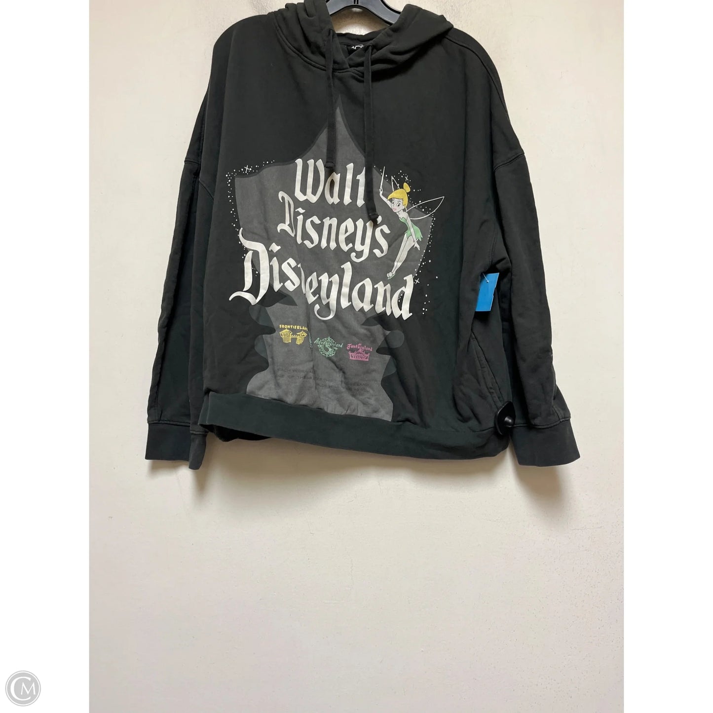 Sweatshirt Hoodie By Disney Store In Grey, Size: Xl