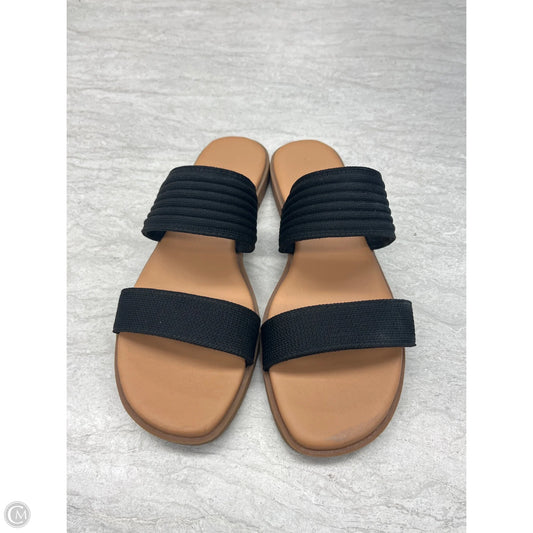 Sandals Flats By Kelly And Katie In Black, Size: 8