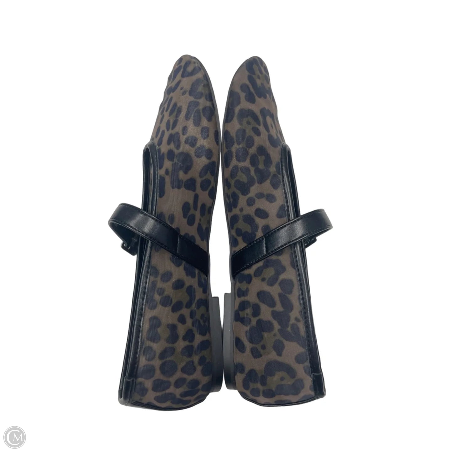 Shoes Flats By Steve Madden In Animal Print, Size: 10