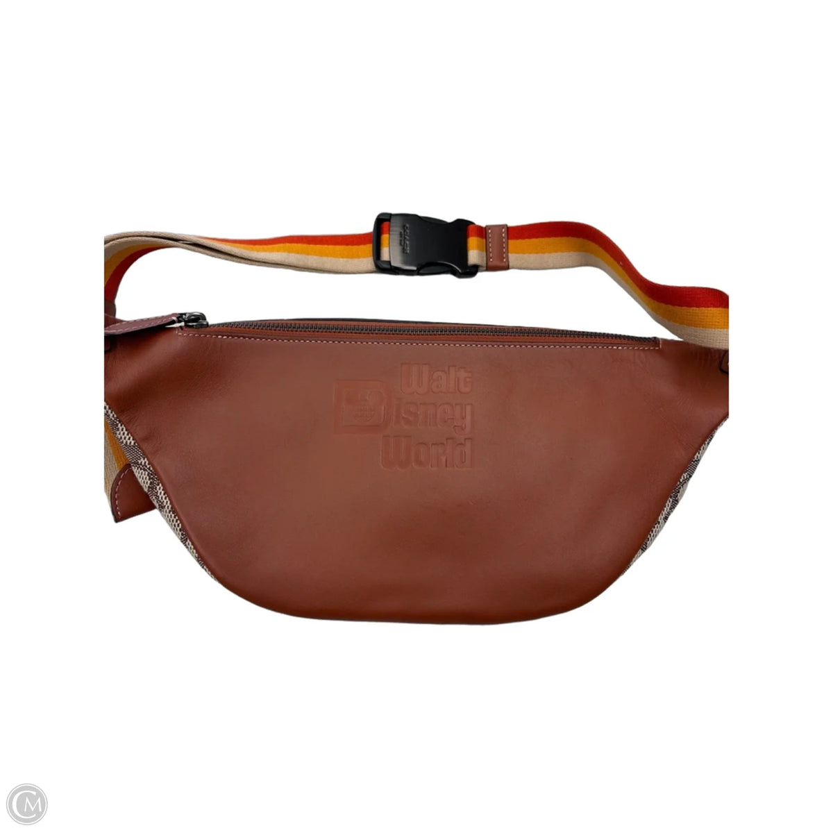 Belt Bag Designer By Coach, Size: Medium